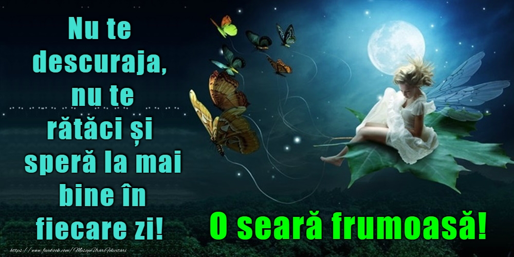 O seară frumoasă!