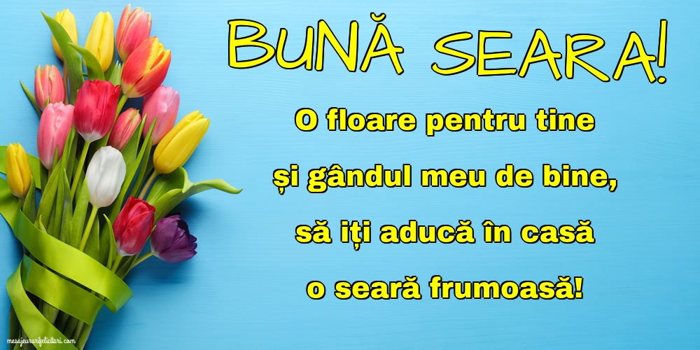 Bună seara!