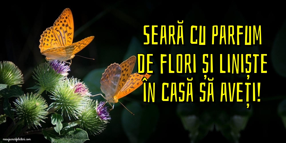 Seară cu parfum de flori