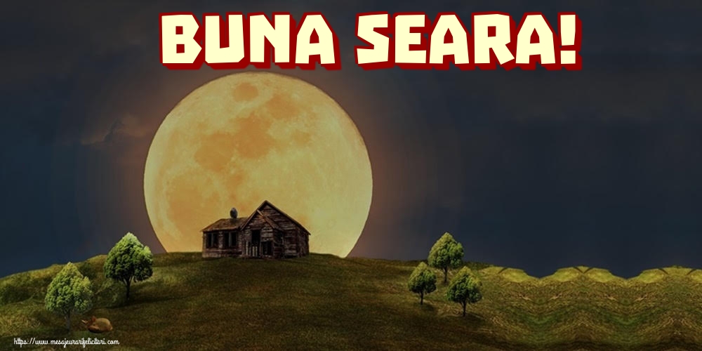 Buna seara!