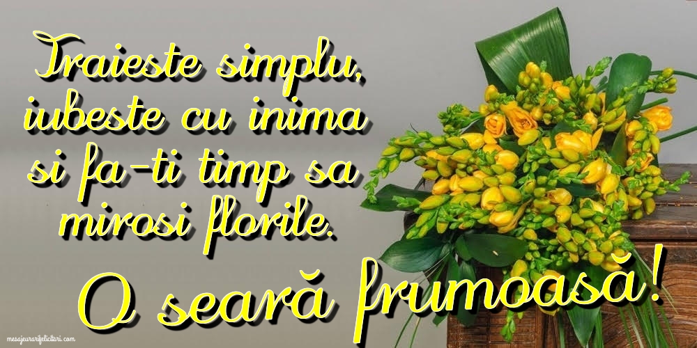 O seară frumoasă!