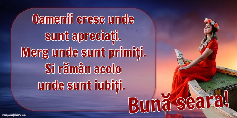 Bună seara!