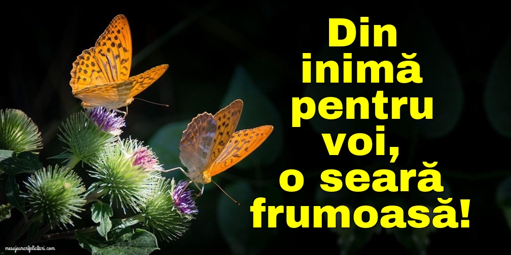 Din inimă pentru voi, o seară frumoasă!