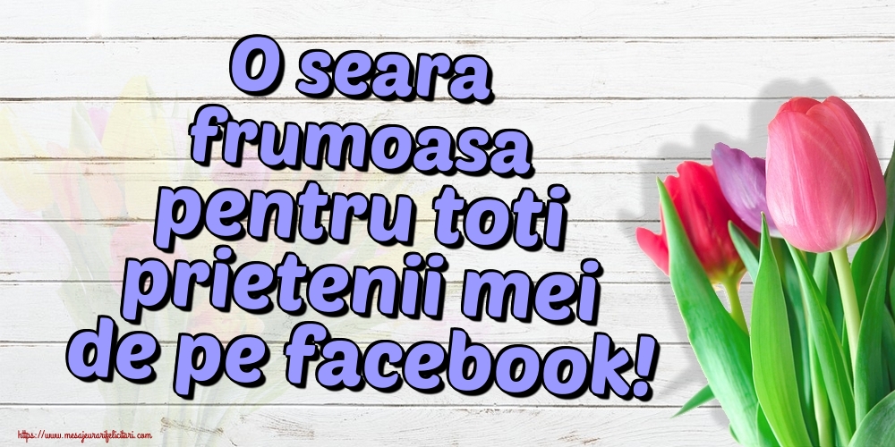 O seara frumoasa pentru toti prietenii mei de pe facebook!