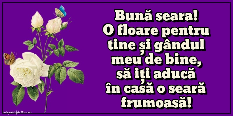 Bună seara!