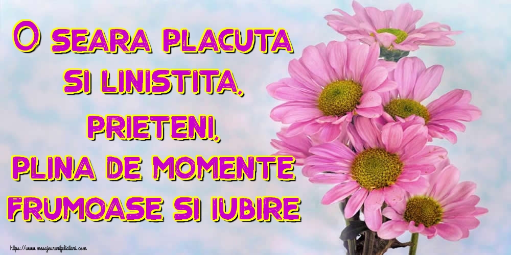 O seara placuta si linistita, prieteni, plina de momente frumoase si iubire