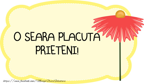 O seara placuta prieteni!