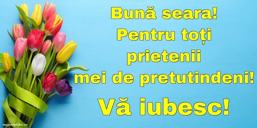 Bună seara!