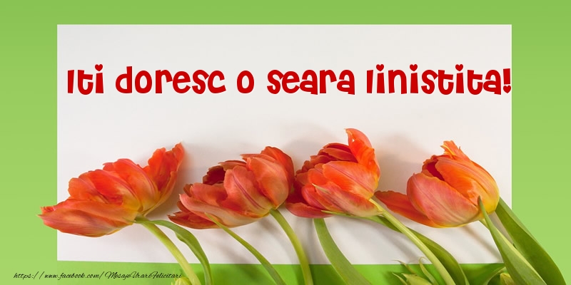 Iti doresc o seara linistita!