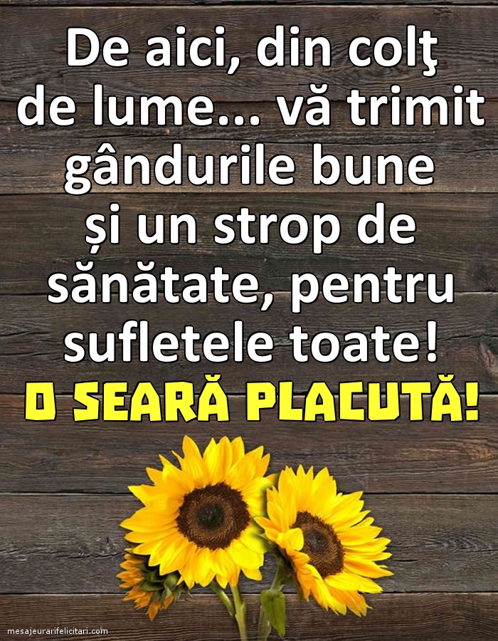 O seară placută!