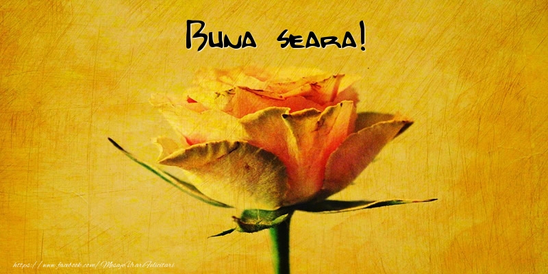 Buna seara!