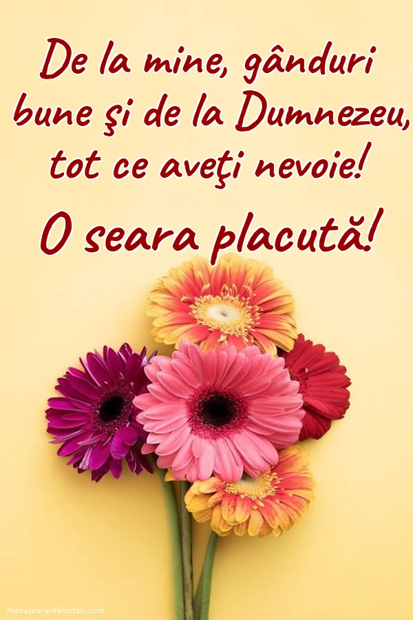 O seara placută!