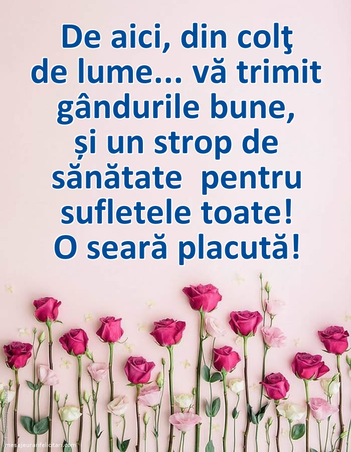 O seară placută!
