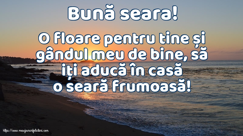 Bună seara!