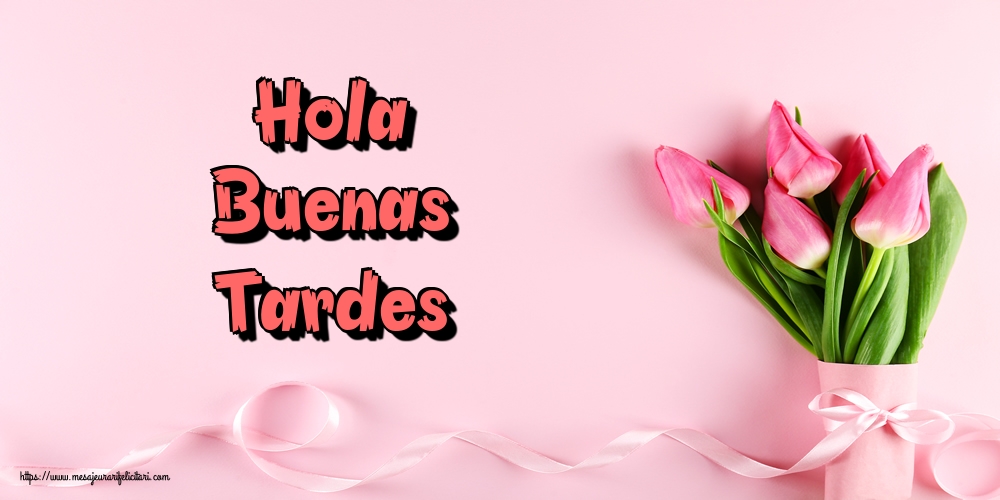 Felicitari de buna seara in Spaniola - Hola Buenas Tardes