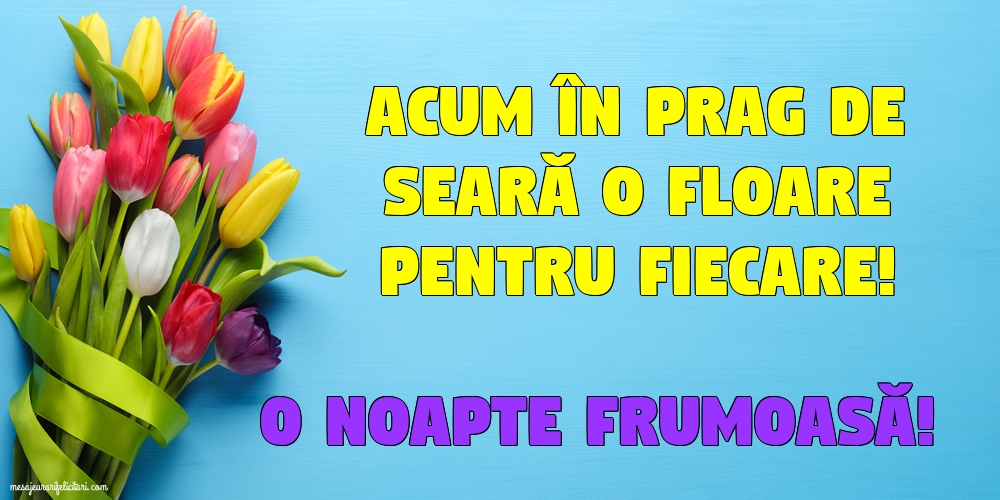 O noapte frumoasă!