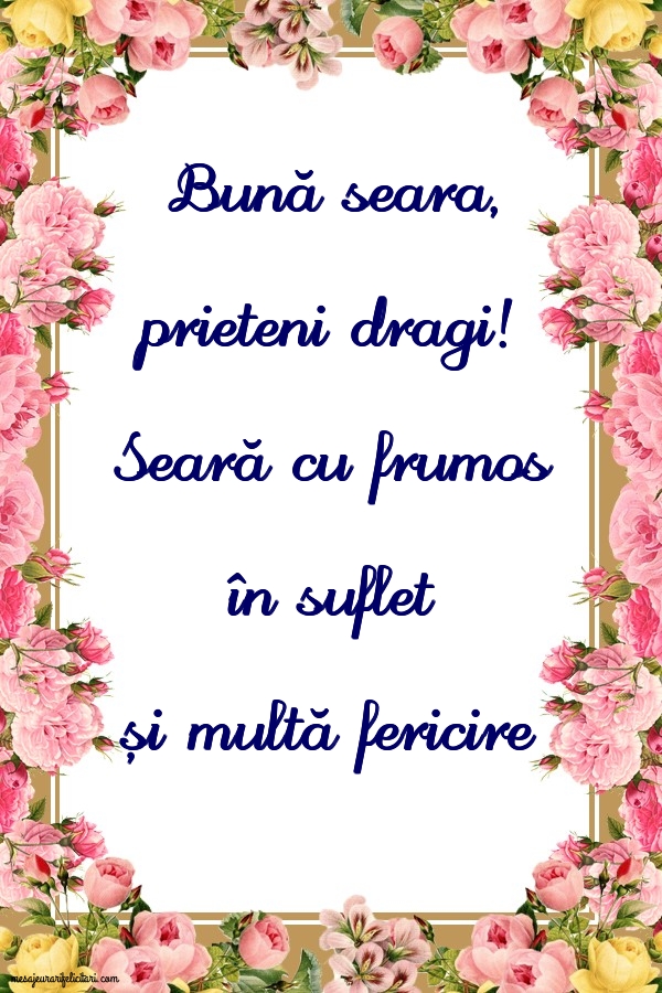 Bună seara, prieteni dragi