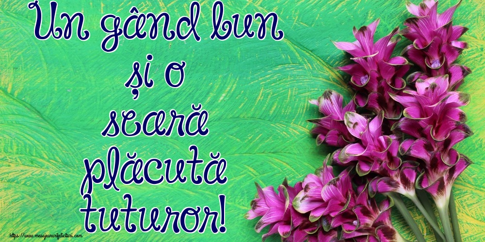 Un gând bun și o seară plăcută tuturor!