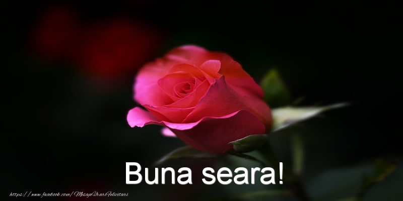 Buna seara!