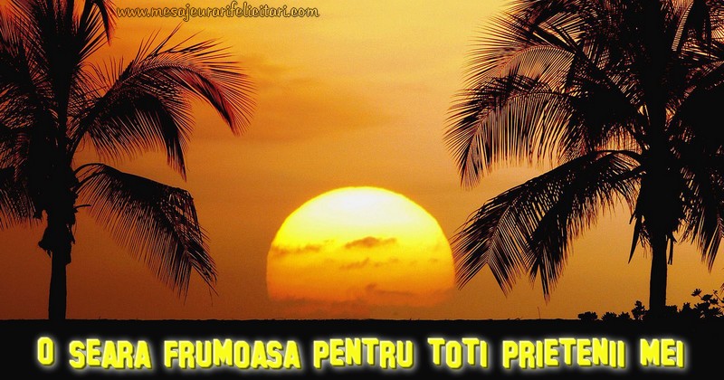 O seara frumoasa pentru toti prietenii mei