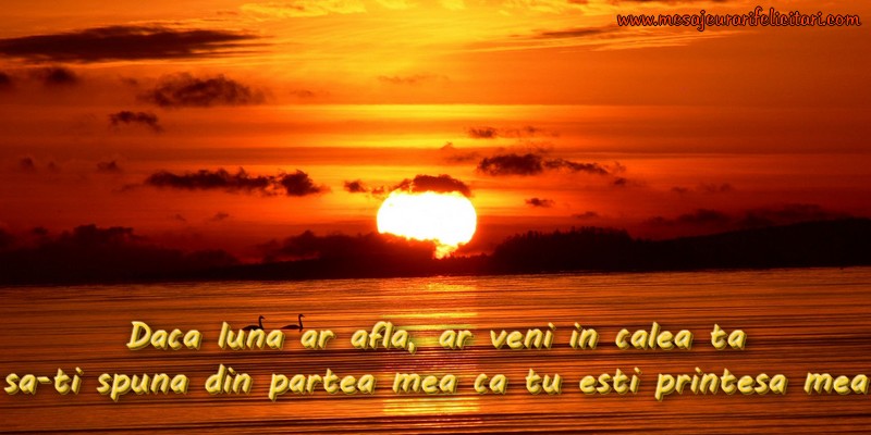 Daca luna ar afla, ar veni in calea ta sa-ti spuna din partea mea ca tu esti printesa mea