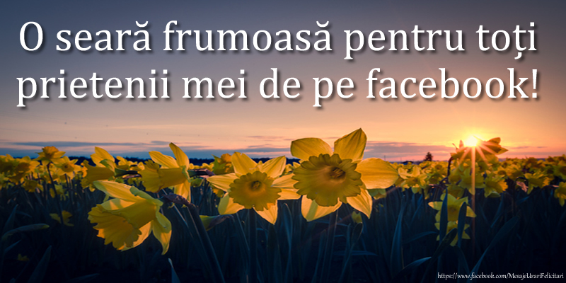 O seară frumoasă pentru toți prietenii mei de pe facebook!