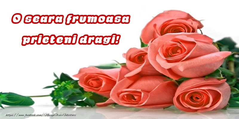 O seara frumoasa prieteni dragi!