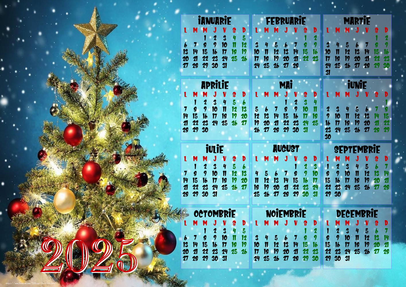 Calendar 2025 - Brad de Craciun - Model 0017