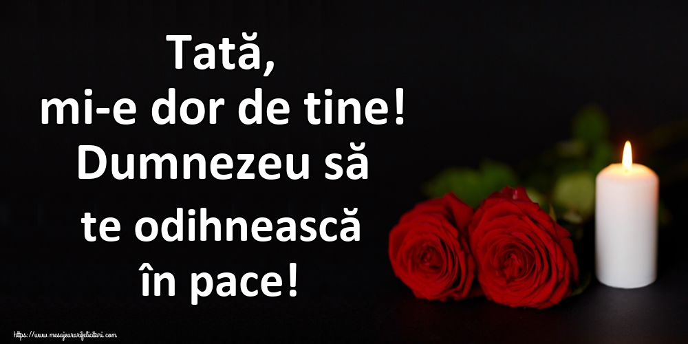 Tată, mi-e dor de tine! Dumnezeu să te odihnească în pace!