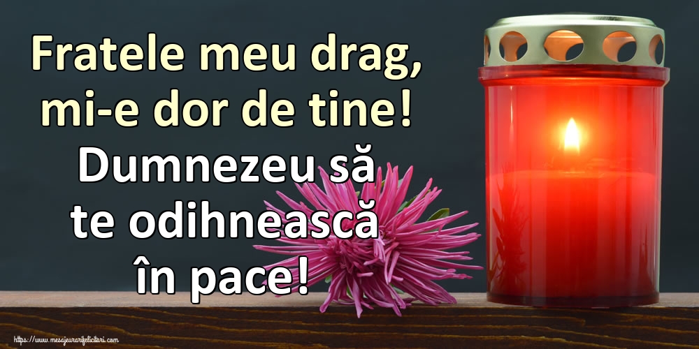 Fratele meu drag, mi-e dor de tine! Dumnezeu să te odihnească în pace!
