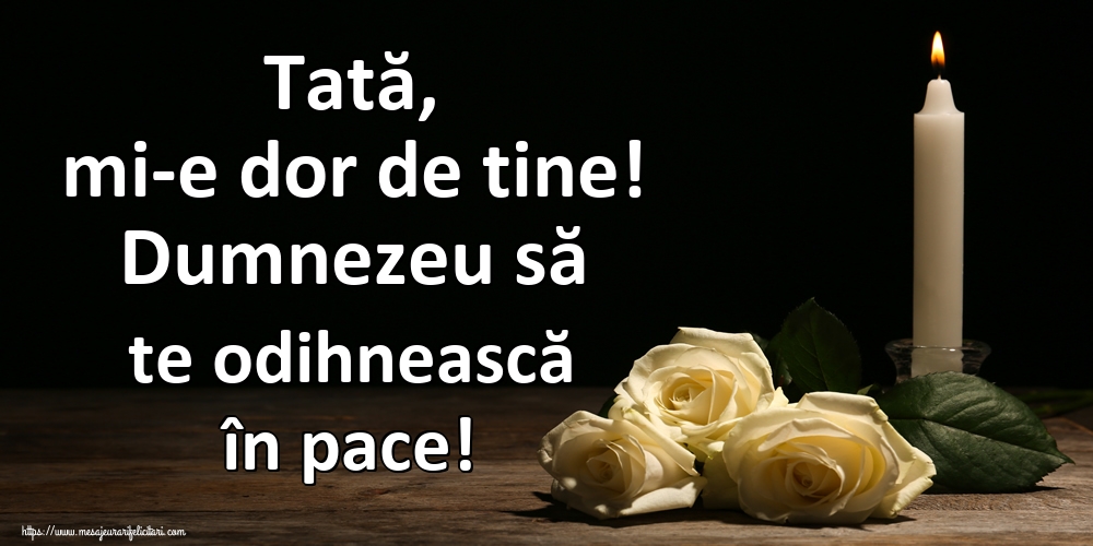 Tată, mi-e dor de tine! Dumnezeu să te odihnească în pace!
