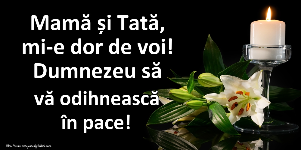 Mamă și Tată, mi-e dor de voi! Dumnezeu să vă odihnească în pace!