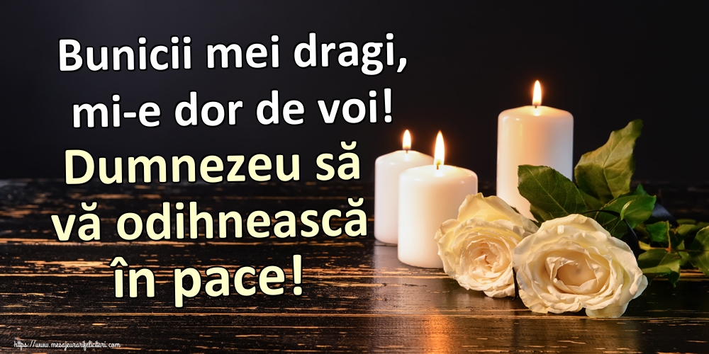Bunicii mei dragi, mi-e dor de voi! Dumnezeu să vă odihnească în pace!