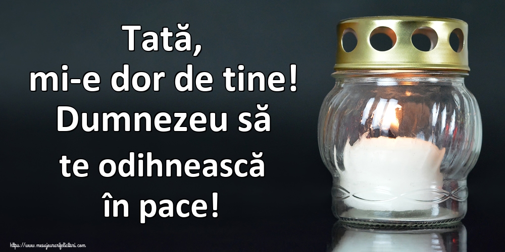 Tată, mi-e dor de tine! Dumnezeu să te odihnească în pace!