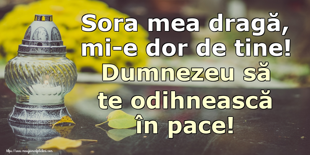 Sora mea dragă, mi-e dor de tine! Dumnezeu să te odihnească în pace!