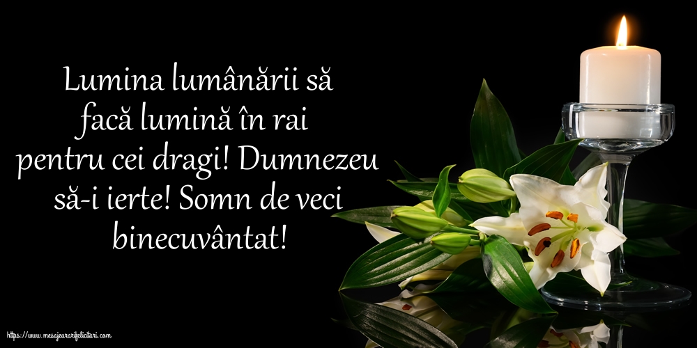 Comemorare Dumnezeu să-i ierte! Somn de veci binecuvântat!