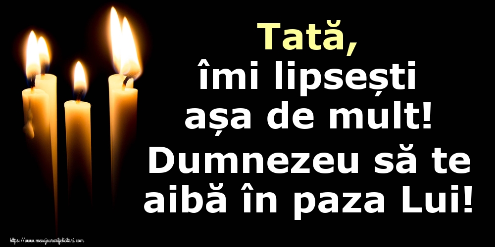 Tată, îmi lipsești așa de mult! Dumnezeu să te aibă în paza Lui!