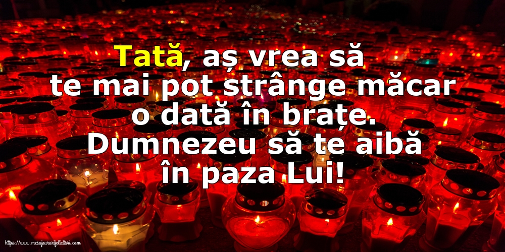 Comemorare Dumnezeu să te aibă în paza Lui! Tată