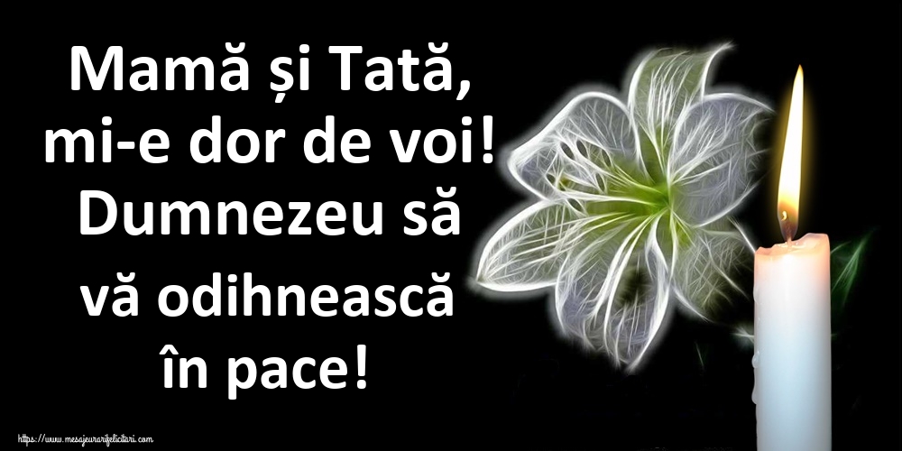 Mamă și Tată, mi-e dor de voi! Dumnezeu să vă odihnească în pace!