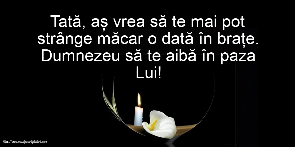Comemorare Dumnezeu să te aibă în paza Lui! Tată