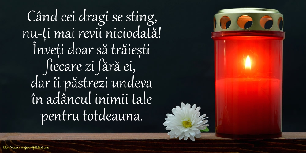 Comemorare Când cei dragi se sting, nu-ți mai revii niciodată!