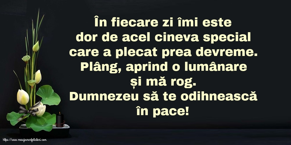 Comemorare Dumnezeu să te odihnească în pace!
