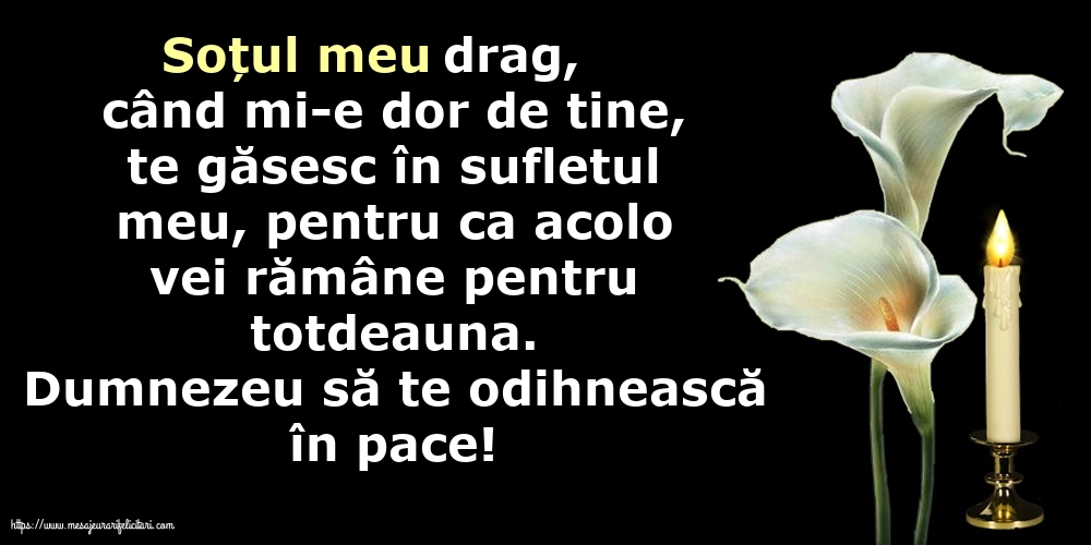 Comemorare Dumnezeu să te odihnească în pace!