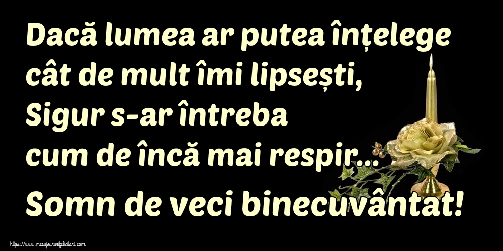 Imagini de Comemorare - Dacă lumea ar putea înțelege cât de mult îmi lipsești, Sigur s-ar întreba cum de încă mai respir... Somn de veci binecuvântat! - mesajeurarifelicitari.com