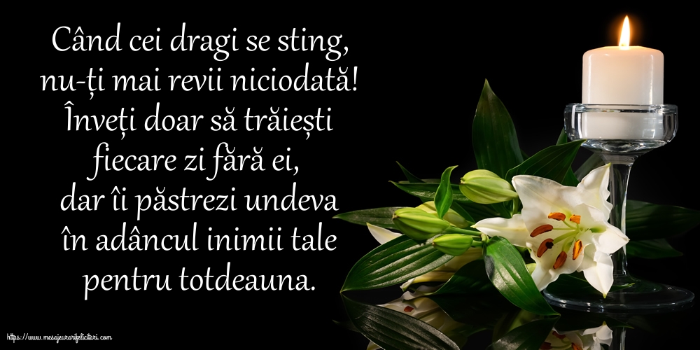 Comemorare Când cei dragi se sting, nu-ți mai revii niciodată!