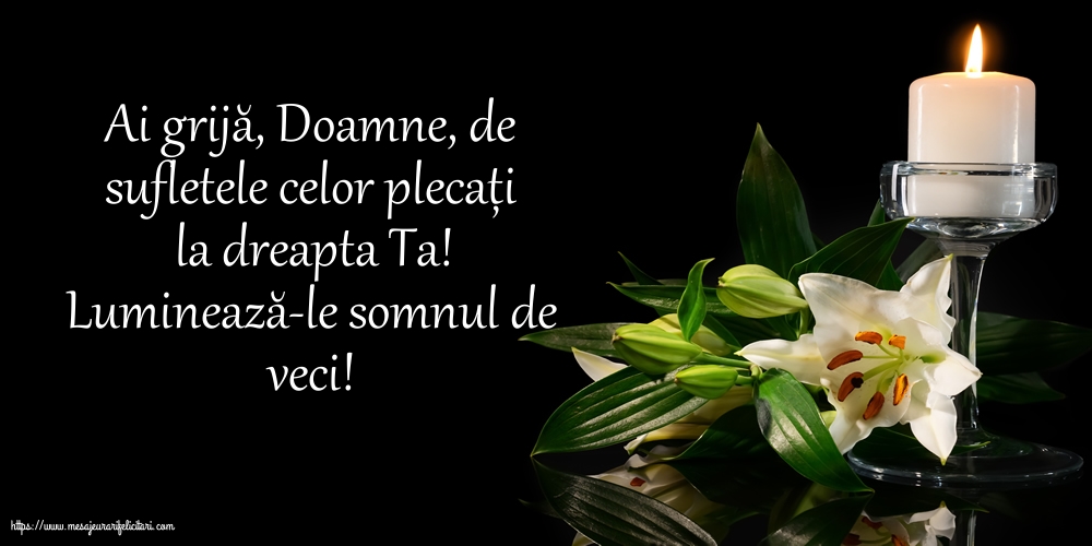 Comemorare Luminează-le somnul de veci!