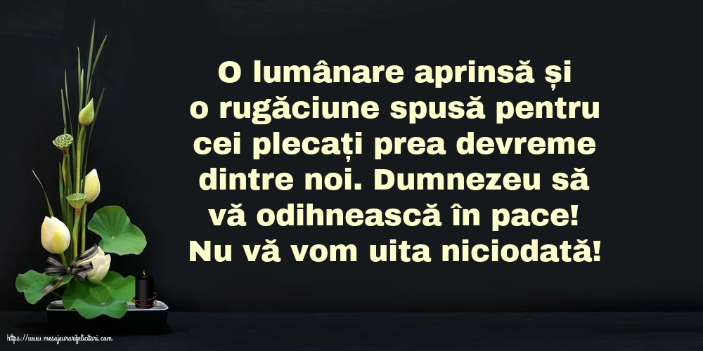 Comemorare Nu vă vom uita niciodată!