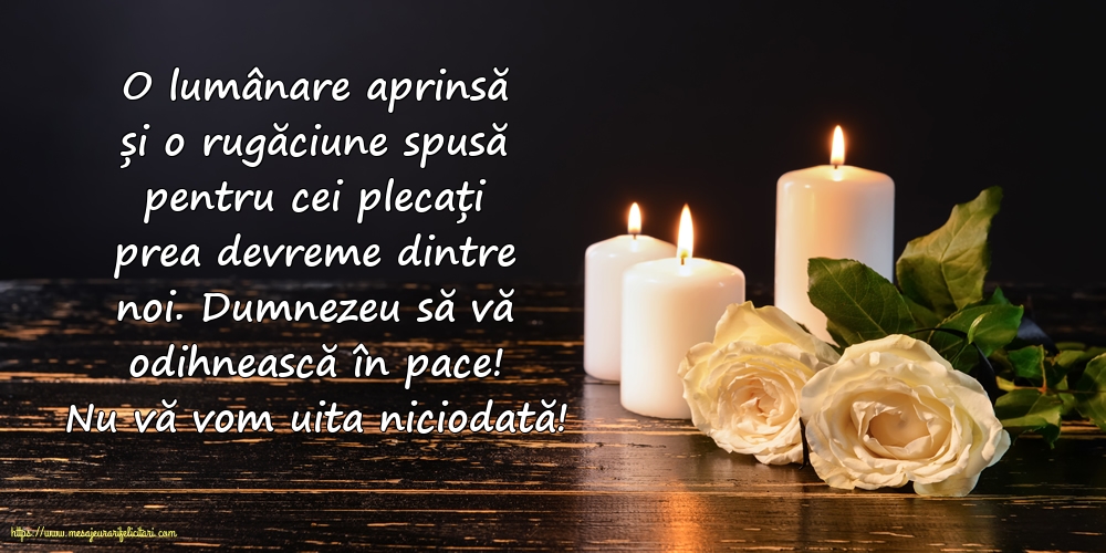 Comemorare Nu vă vom uita niciodată!