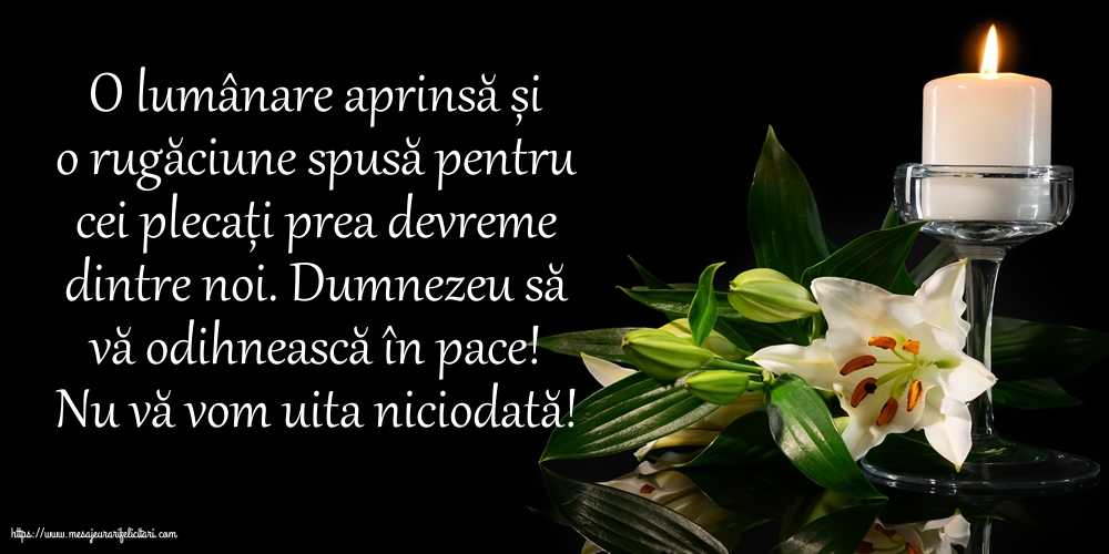 Comemorare Nu vă vom uita niciodată!