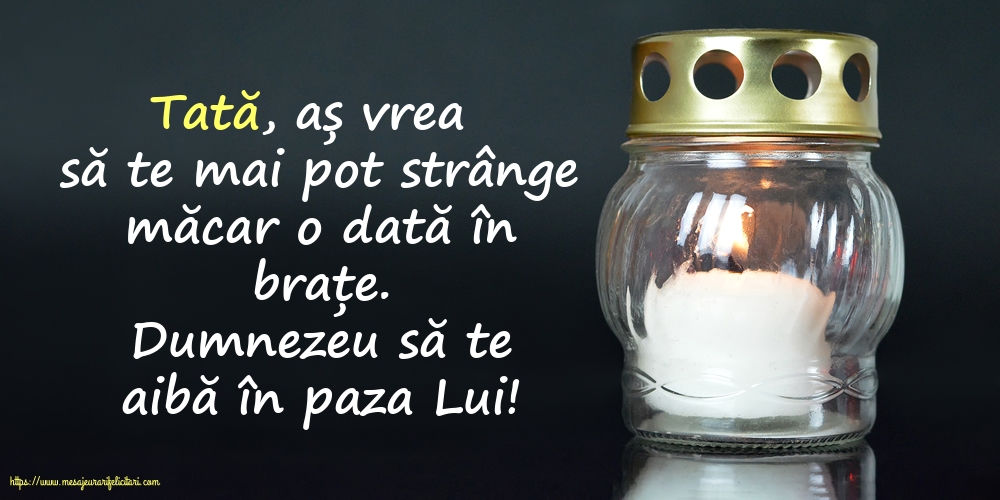 Comemorare Dumnezeu să te aibă în paza Lui! Tată